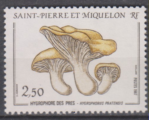 Numérisation_20240310 (15)