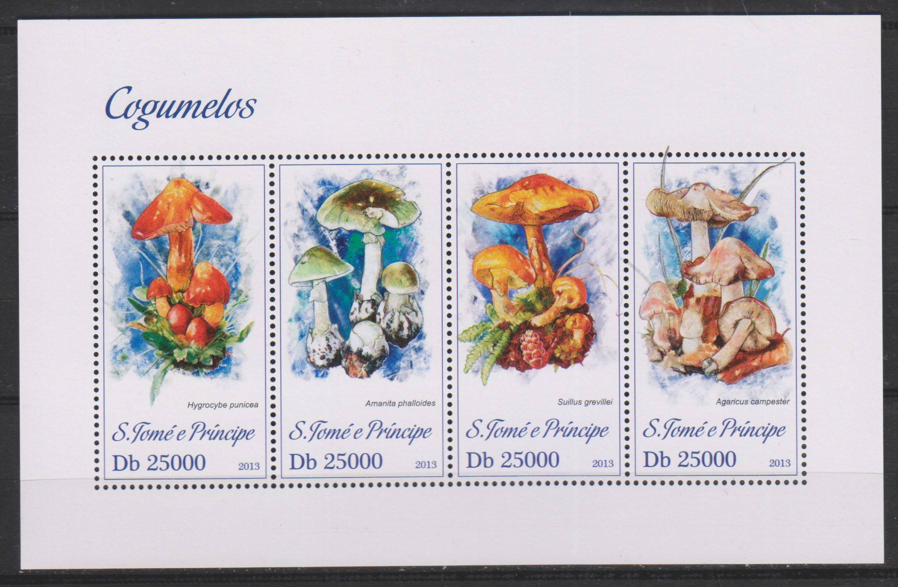 Numérisation_20240502 (28)