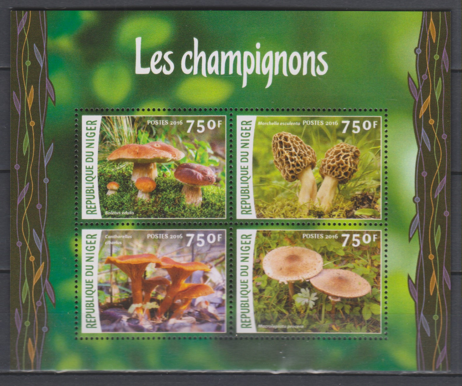 Numérisation_20240718 (62)