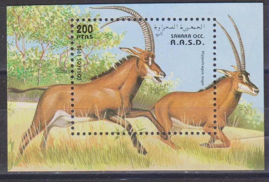 Numérisation_20240911 (199)