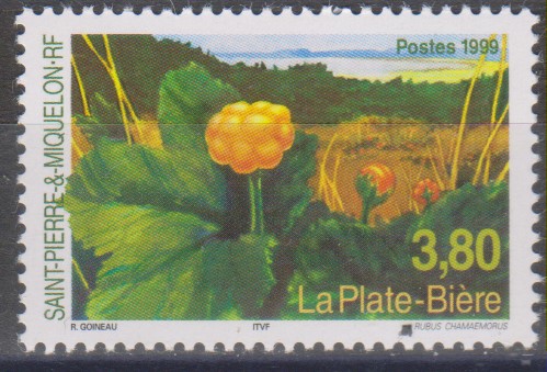 Numérisation_20241009 (167)