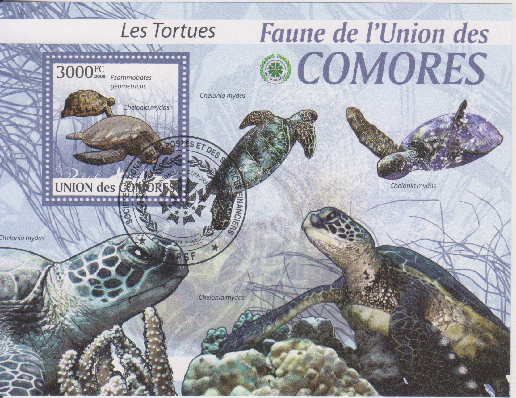 Numérisation_20241028 (6)
