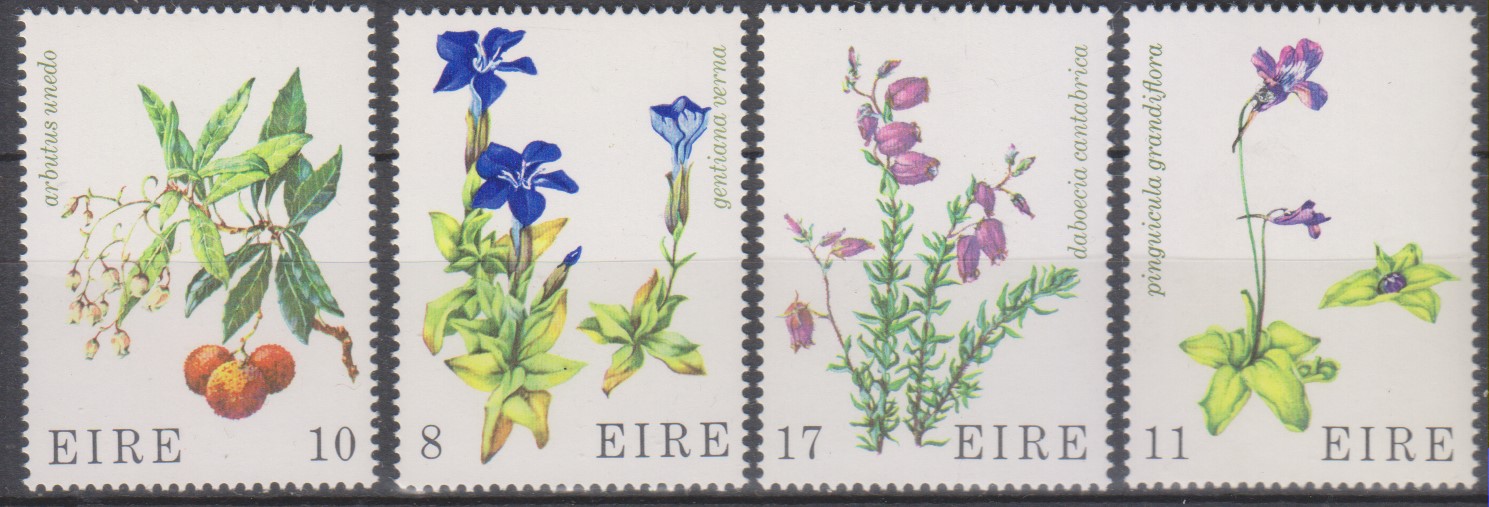 Numérisation_20241103 (36)