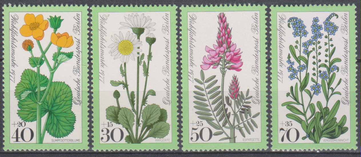 Numérisation_20241106 (195)
