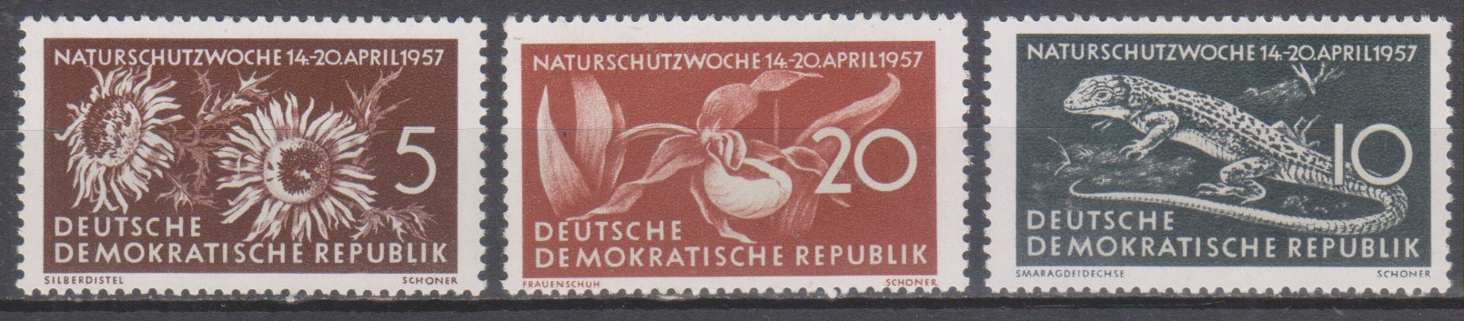 Numérisation_20241114 (81)