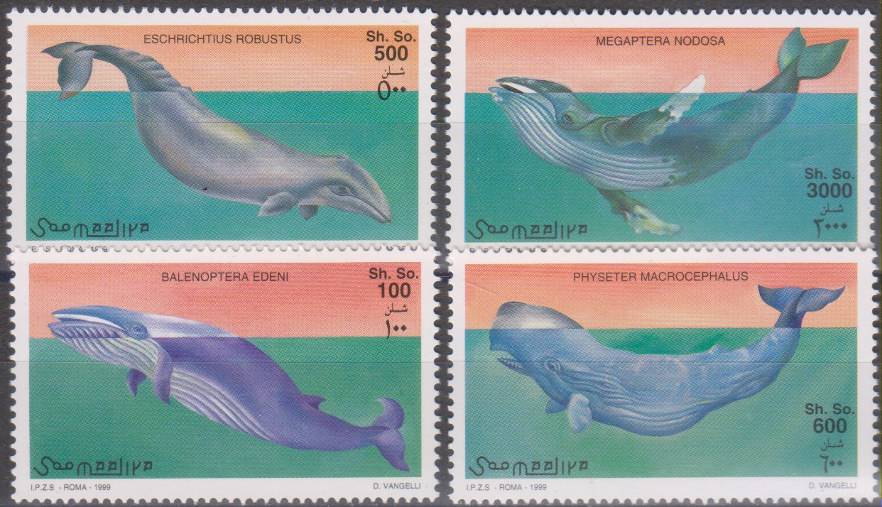Numérisation_20240902 (3)