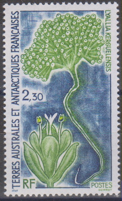 Numérisation_20241210 (40)