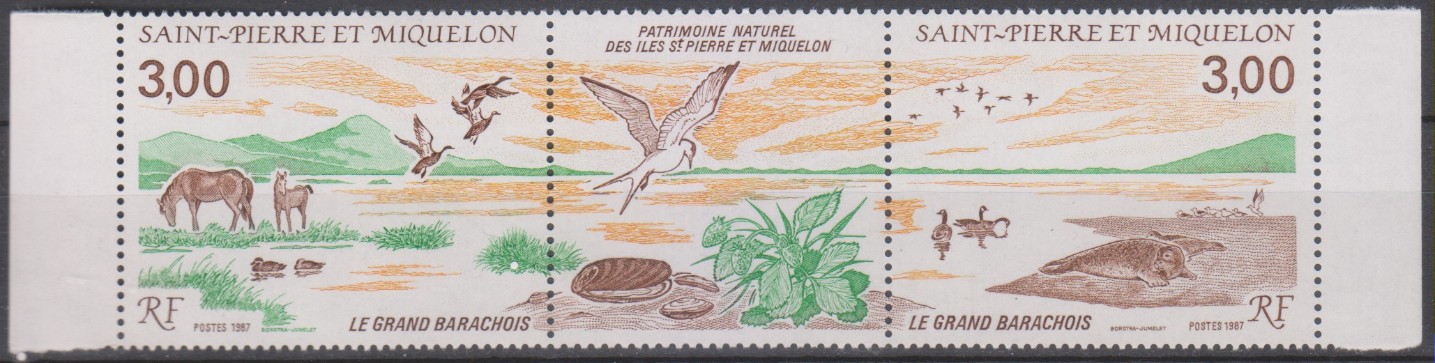 Numérisation_20250113 (8)