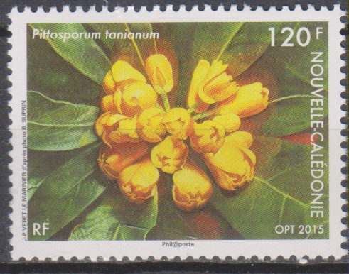 Numérisation_20250117 (61)