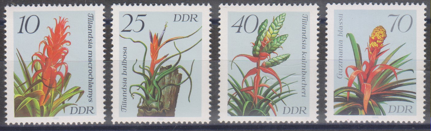 Numérisation_20250218 (26)