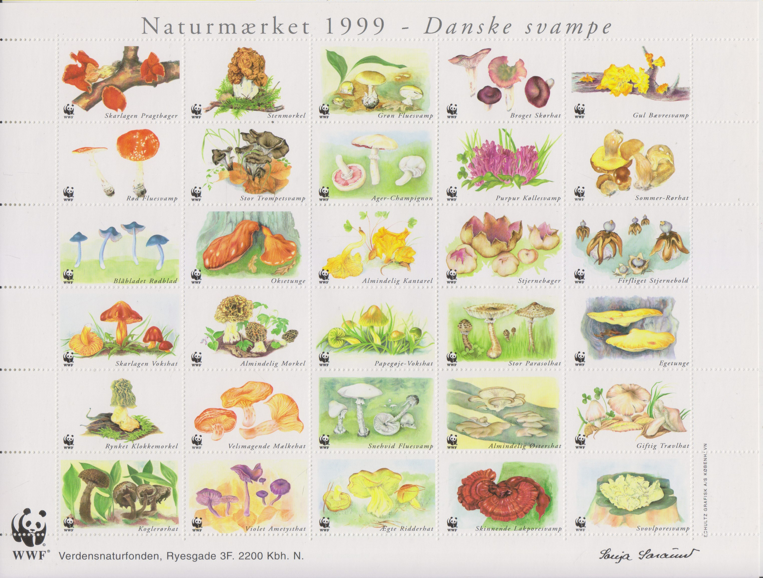 Numérisation_20250222 (155)