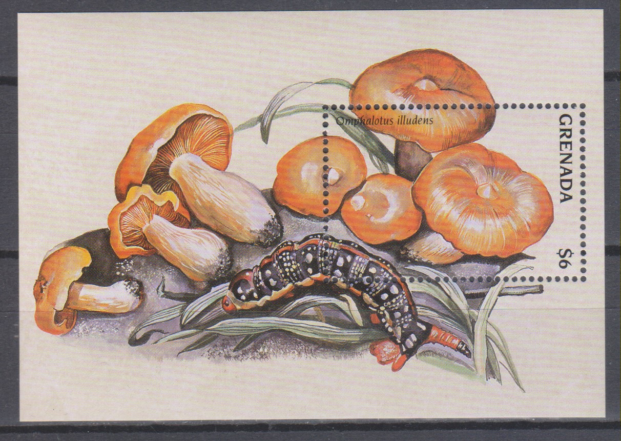 Numérisation_20250319 (25)