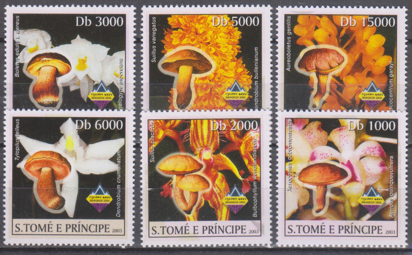 Numérisation_20250323