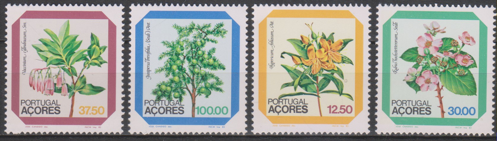 Numérisation_20250408 (6)