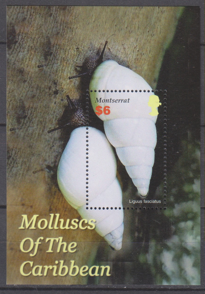 Numérisation_20250319 (68)