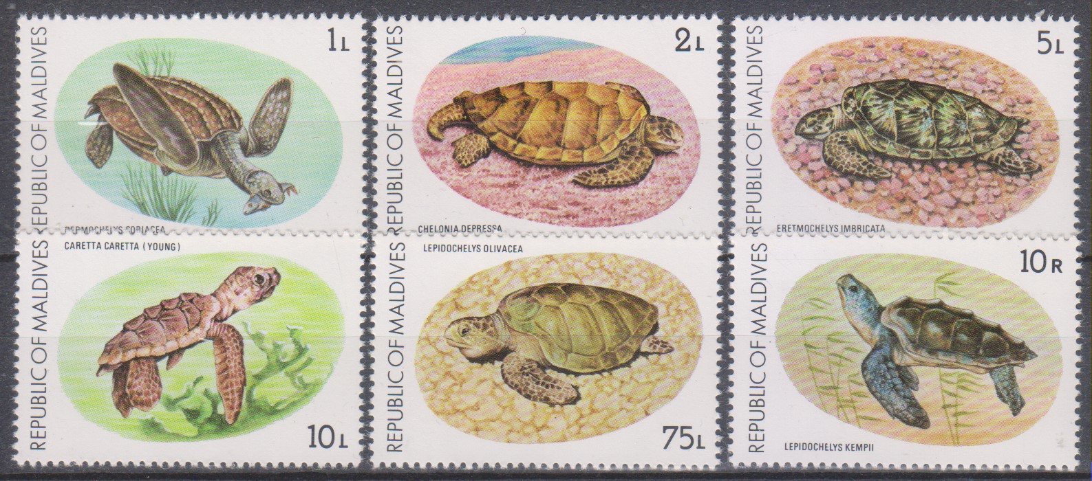 Numérisation_20250426