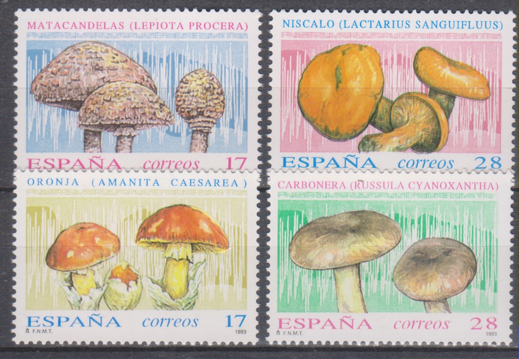 Numérisation_20250513 (103)