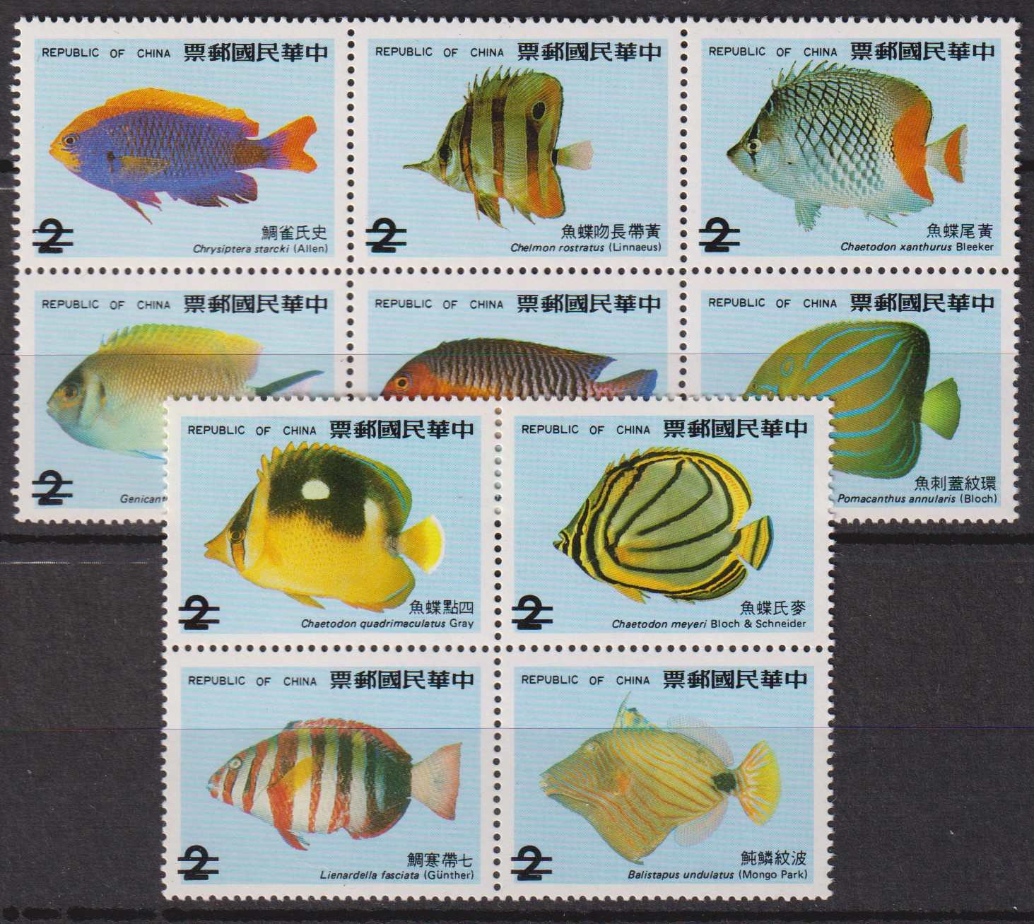 Numérisation_20250903 (134)