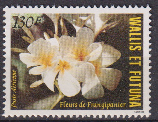 Numérisation_20250920 (35)