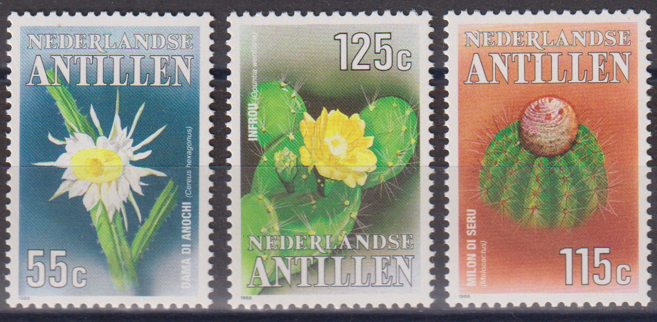 Numérisation_20251111 (15)