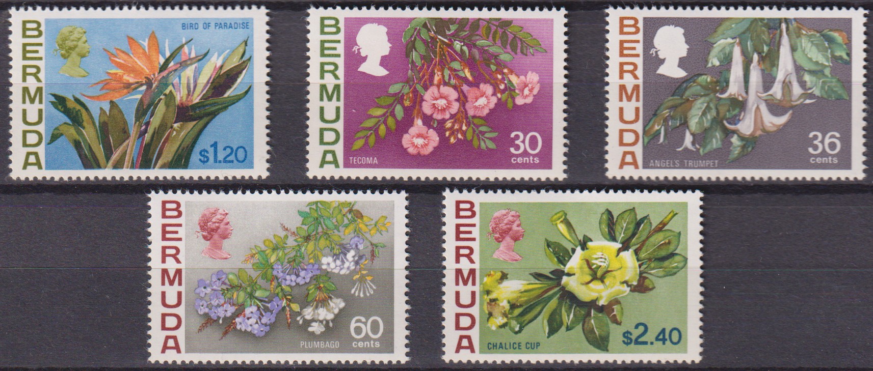 Numérisation_20251106 (32)