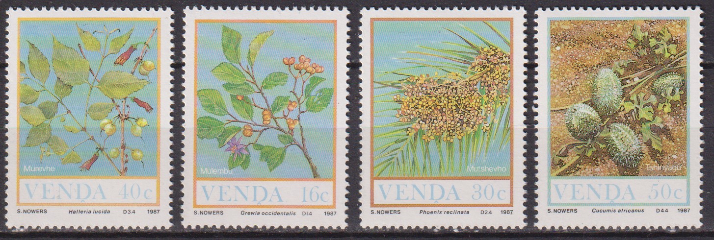 Numérisation_20251106 (49)