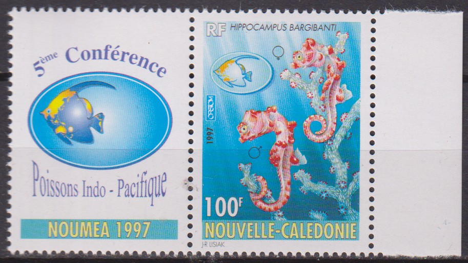 Numérisation_20251202 (246)