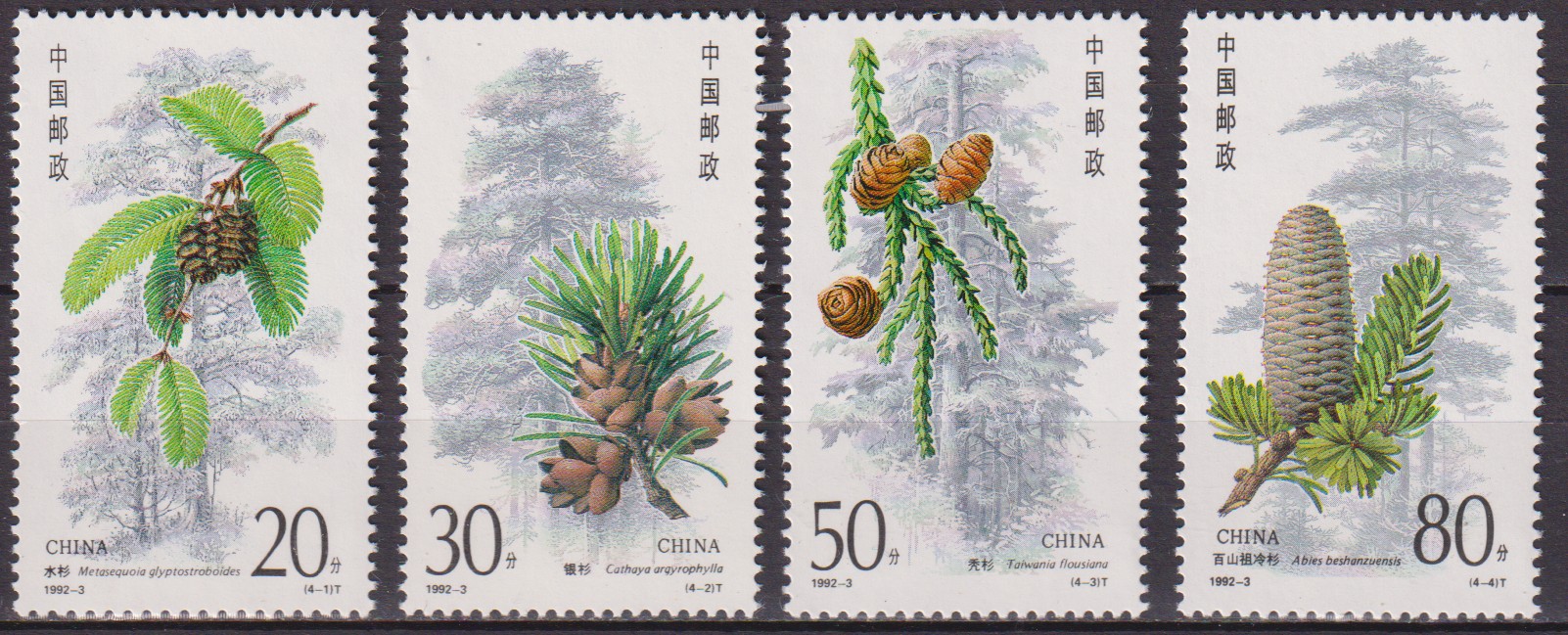Numérisation_20251220 (175)