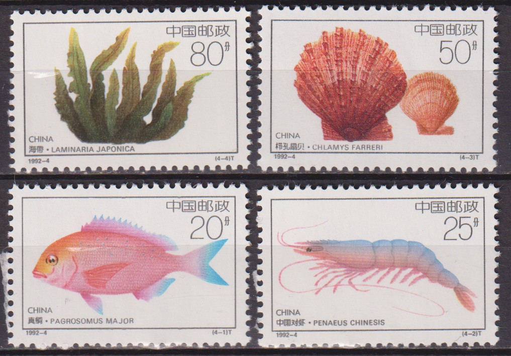 Numérisation_20251220 (176)