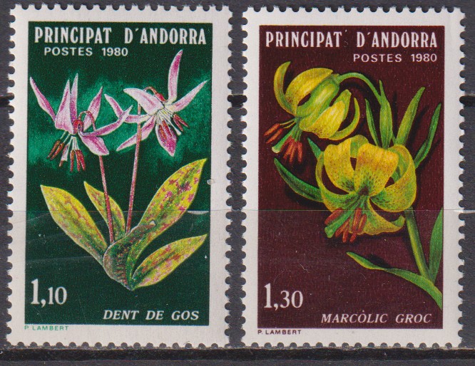 Numérisation_20260115 (58)
