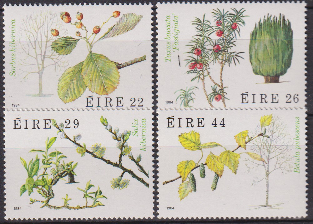 Numérisation_20260118 (41)