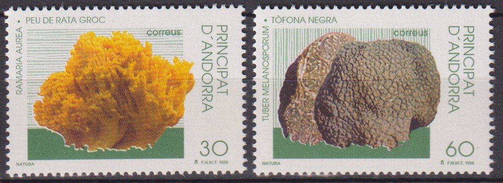 Numérisation_20260128 (19)