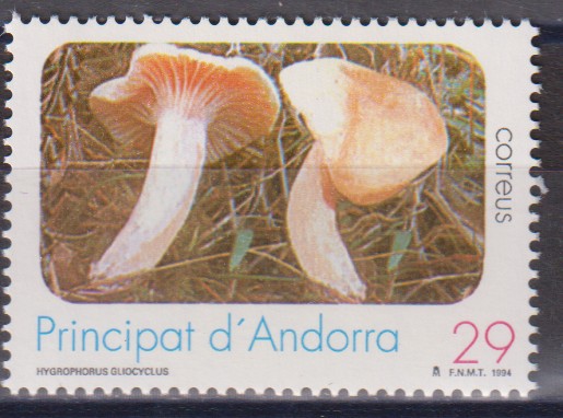 Numérisation_20260128 (13)