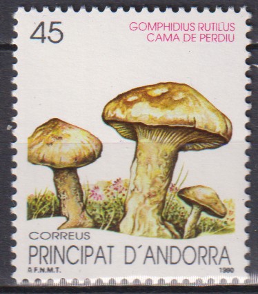 Numérisation_20260128 (6)