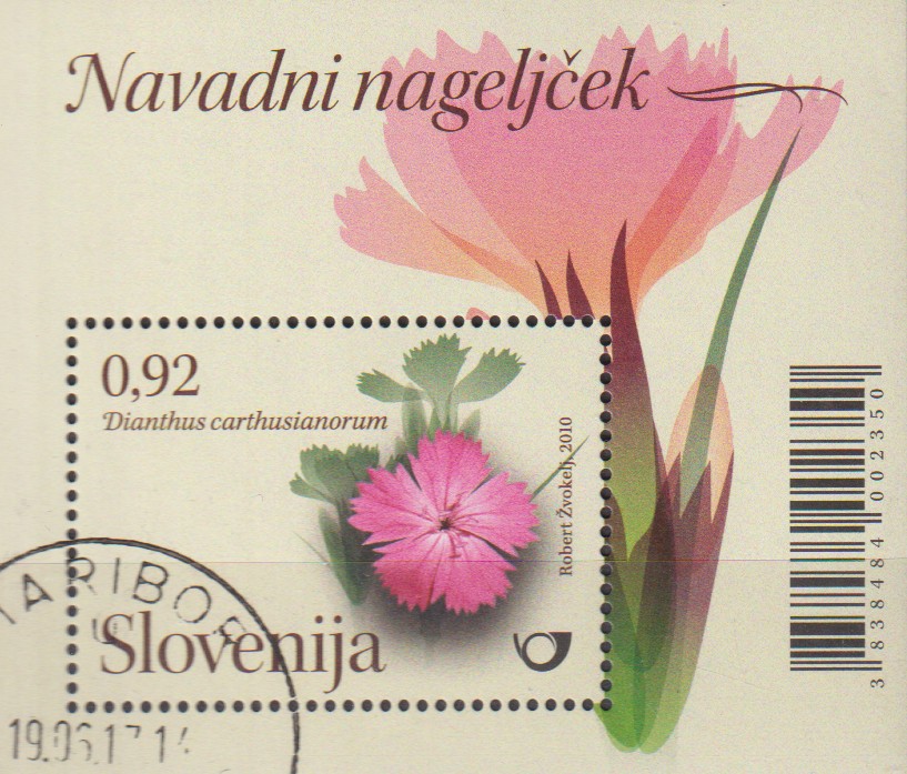 Numérisation_20260202 (3)