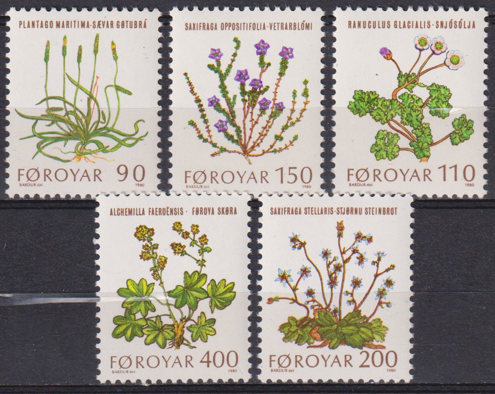 Numérisation_20260209 (53)