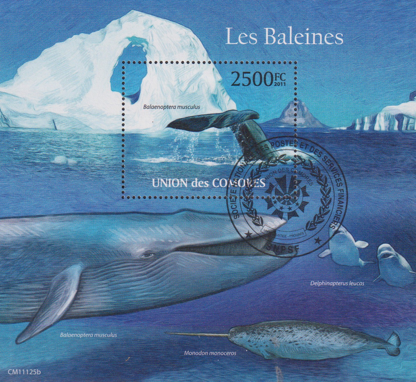 Numérisation_20260213 (17)