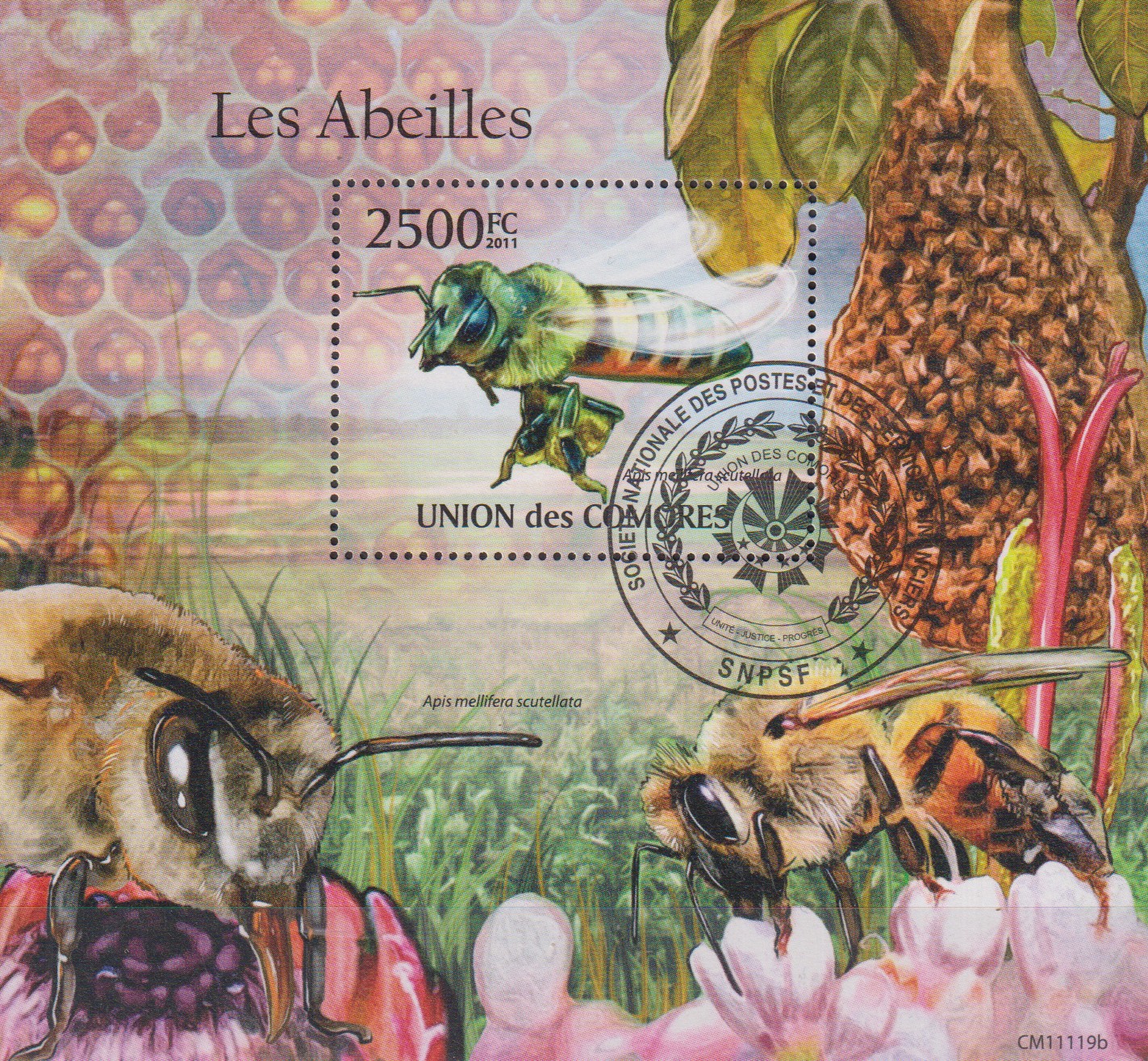 Numérisation_20260213 (18)