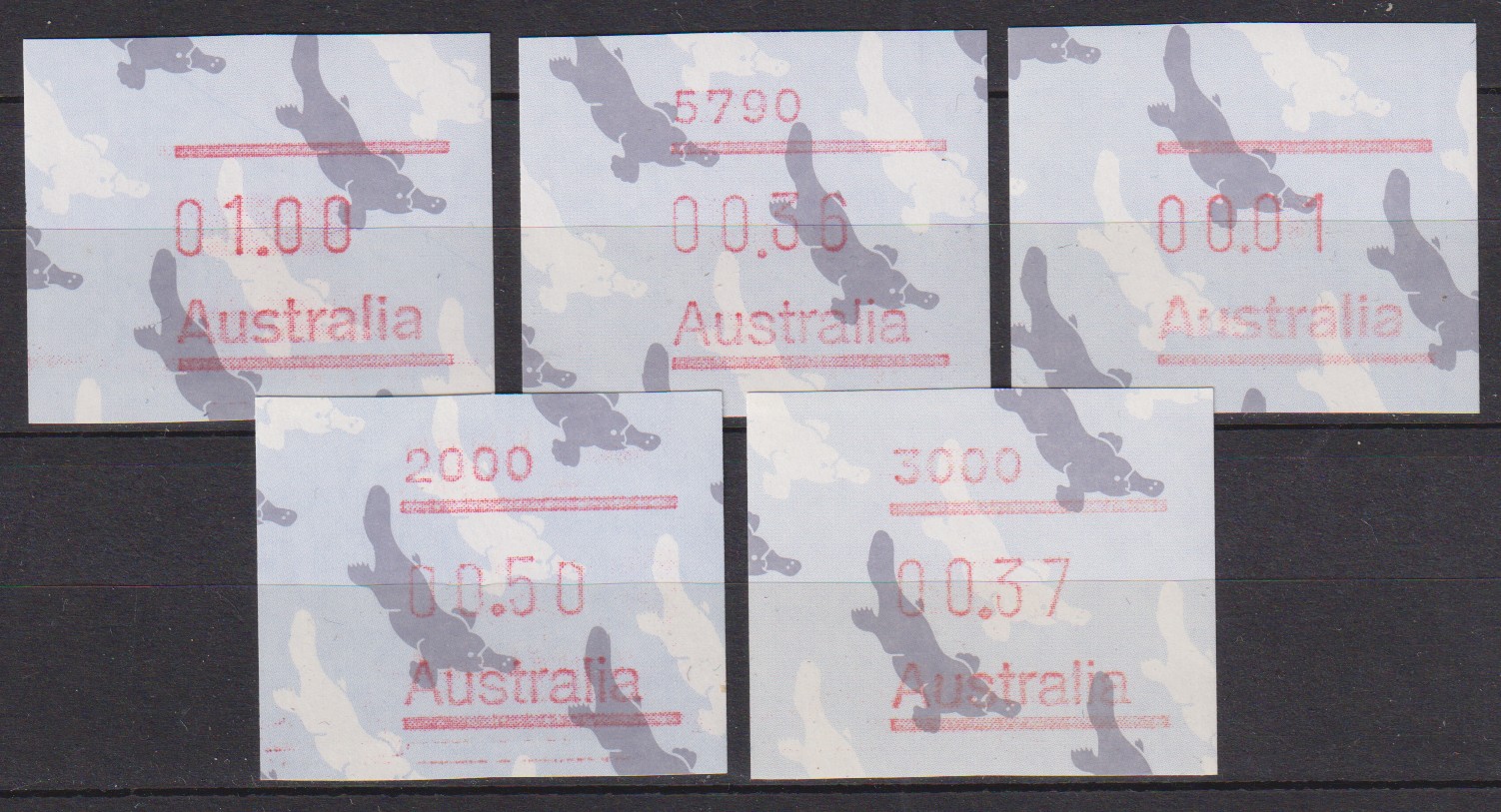 Numérisation_20260130 (55)