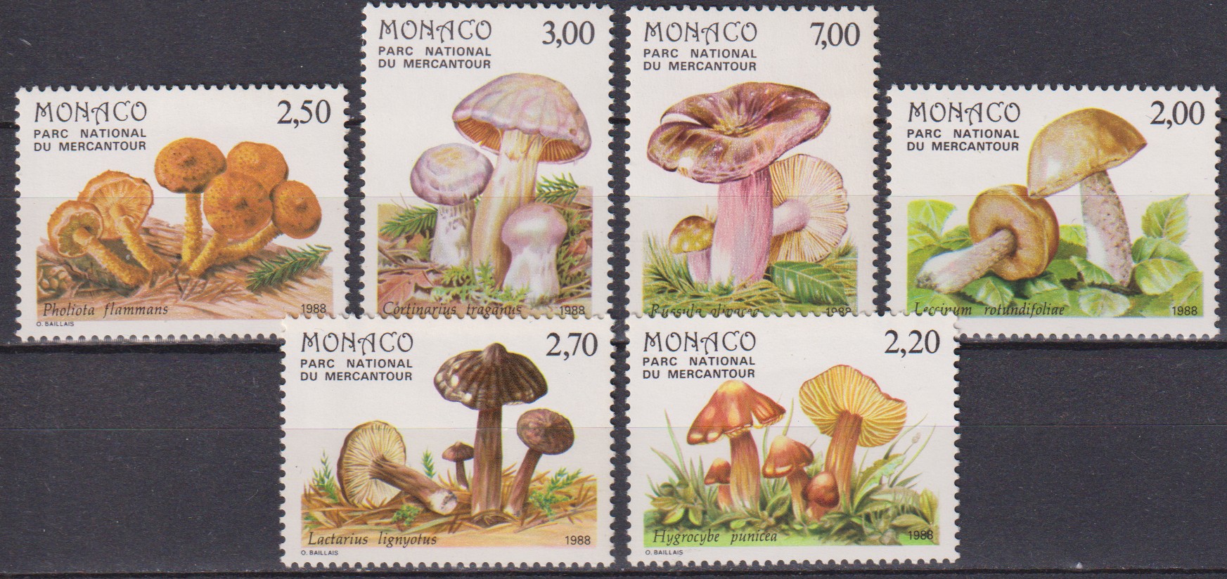 Numérisation_20251220 (194)