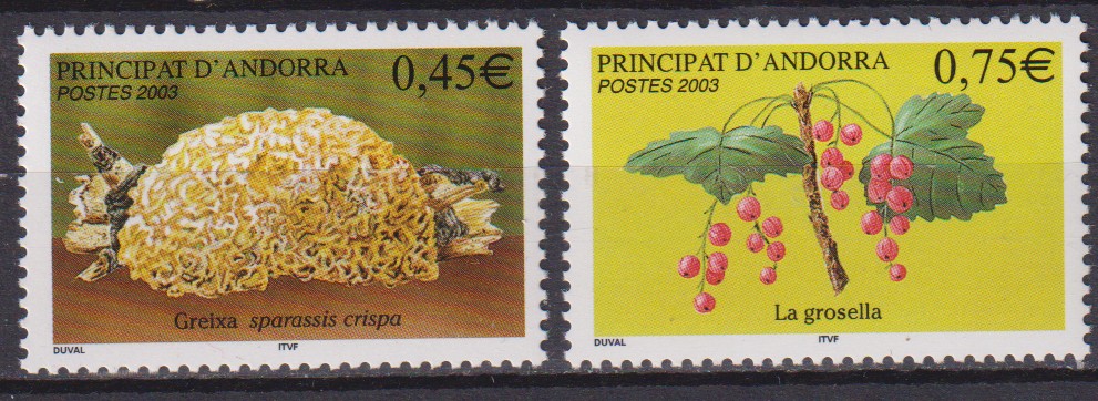 Numérisation_20260228 (38)