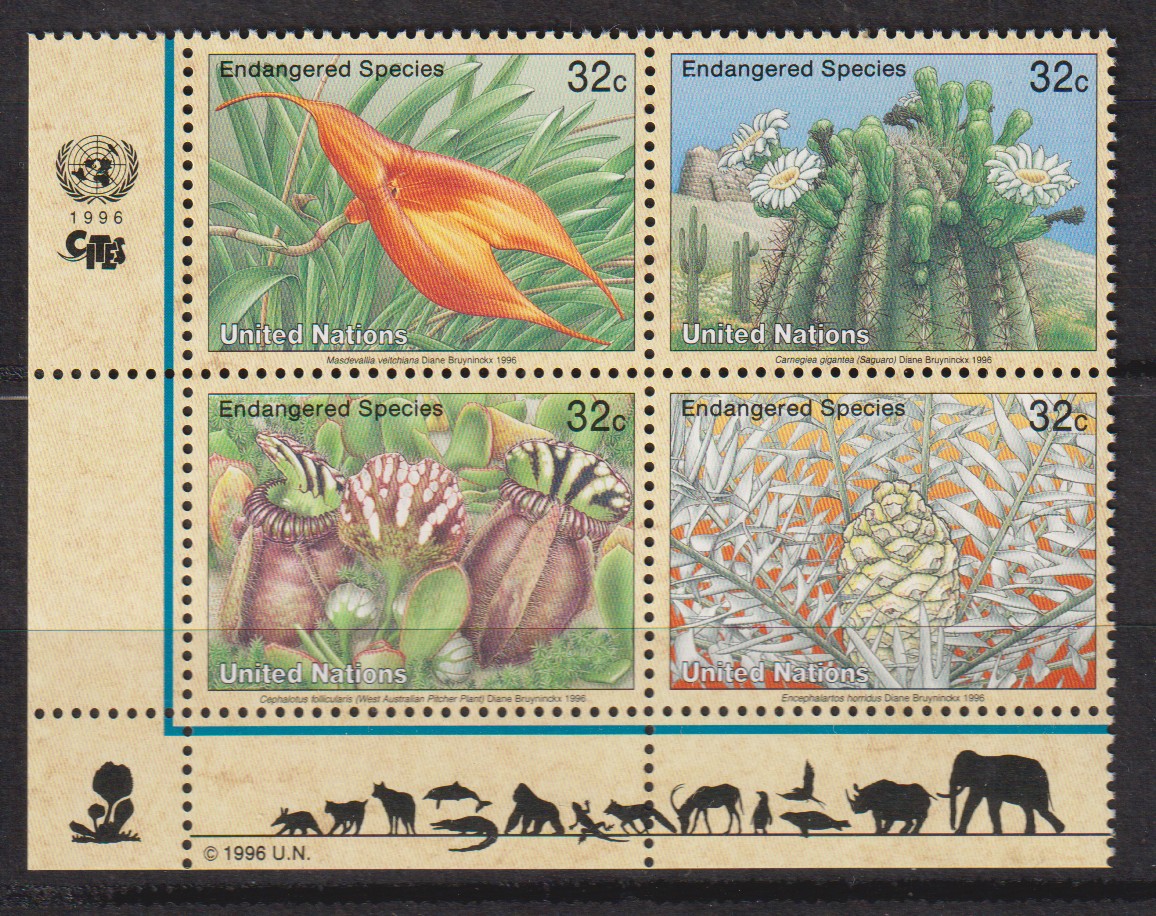 Numérisation_20260227 (192)