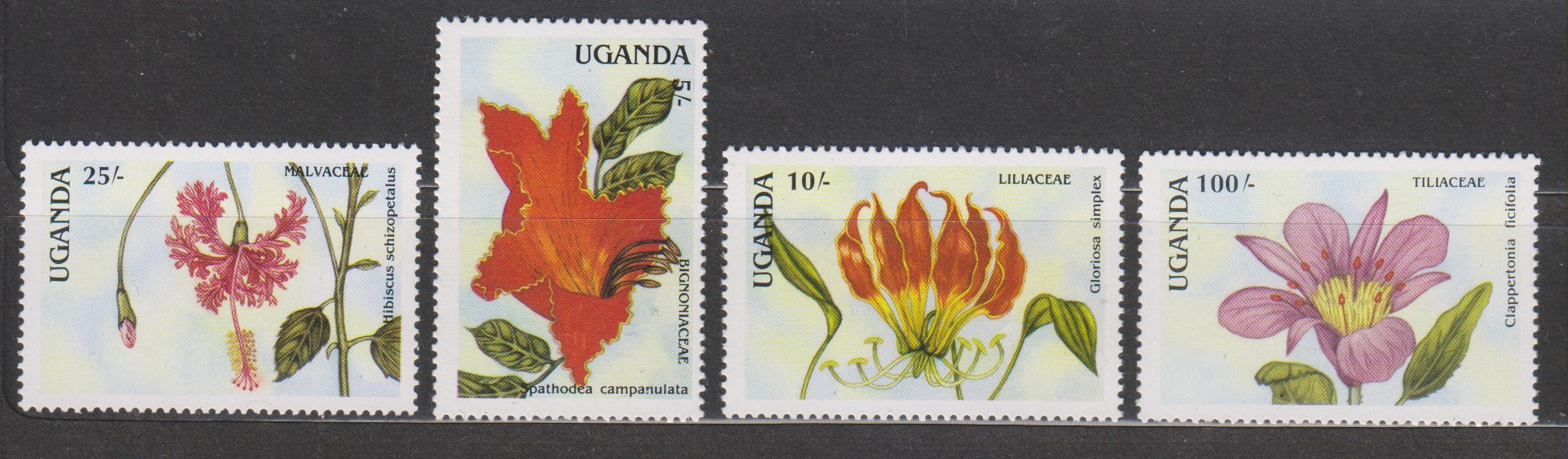 Numérisation_20200126 (48)