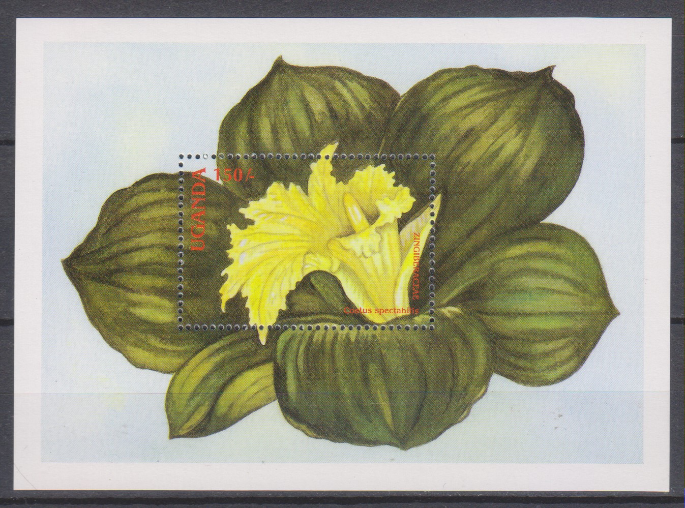 Numérisation_20200126 (31)