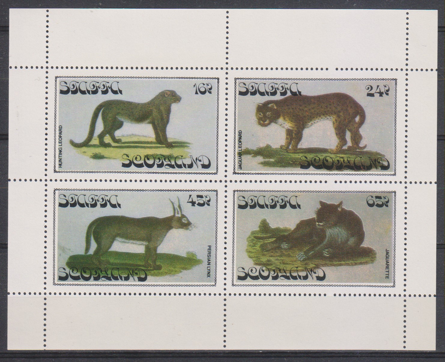 Numérisation_20200128 (11)