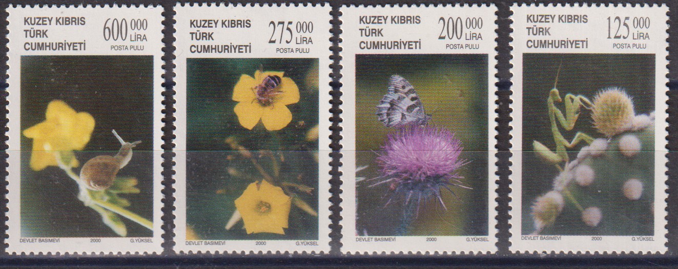 Numérisation_20260320 (88)