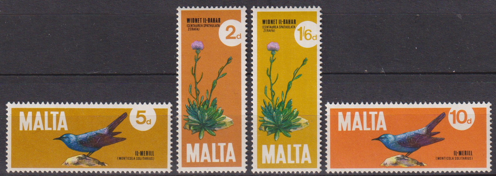 Numérisation_20260329 (31)