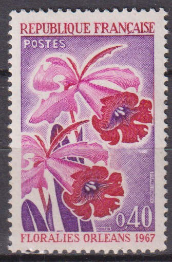Numérisation_20260401 (173)