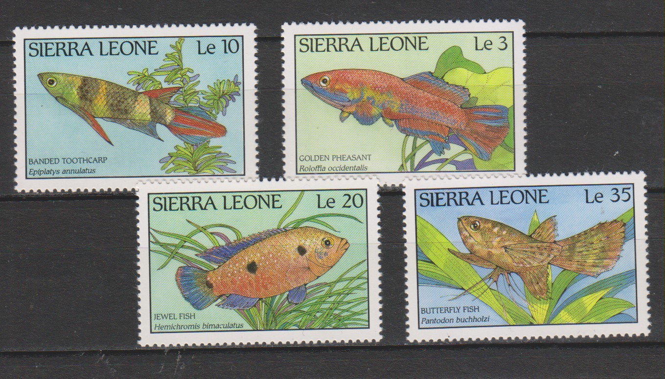 Numérisation_20200130 (48)