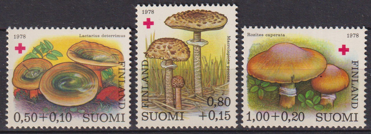 Numérisation_20260424 (64)
